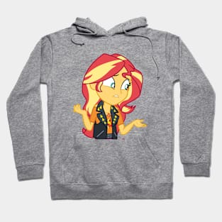 Sunset Shimmer was popular Hoodie